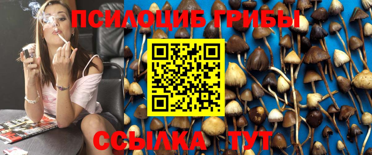 Белогорск  продажа наркотиков  Вход с VPN  Псилоцибиновые грибы мицелий 